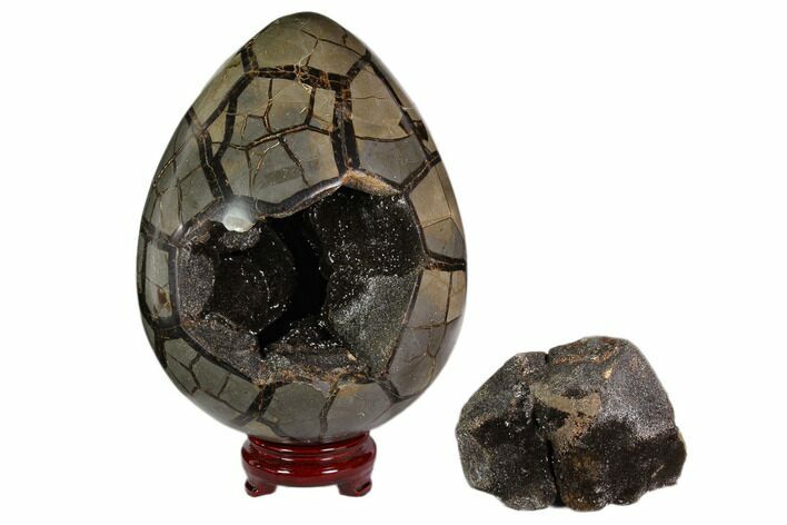 Polished Septarian Puzzle Geode - Black Crystals #113657